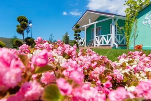 Imagen general del Hotel Dacha Del Sol And Resort All Inclusive. Foto 3