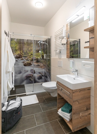 Imagen de la habitación del Hotel Dachsteinresort. Foto 9