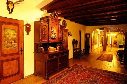 Imagen de los interiores del Hotel Dachswald. Foto 5