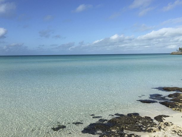 Imagen general del Hotel Daddy Joes. Foto 3