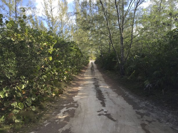 Imagen de la habitación del Hotel Daddy Joes. Foto 9