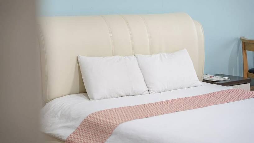 Imagen general del Hotel Daecheon Swiss Chalet Spa Pension. Foto 8