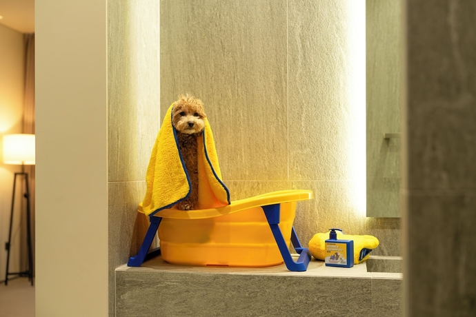 Imagen de la habitación del Hotel Daegu Suseong The Arco Lions Park. Foto 1