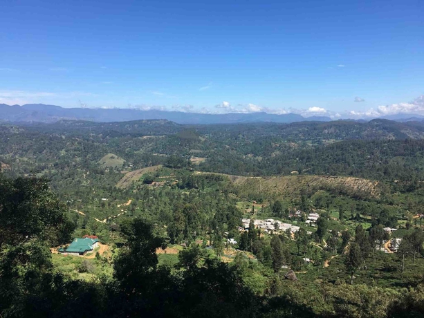 Imagen general del Hotel Daffodils, Nuwara Eliya. Foto 2