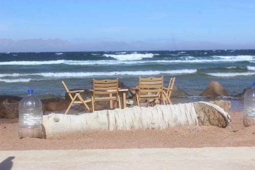 Imagen general del Hotel Dahab, Dahab. Foto 7