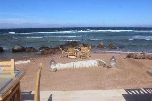 Imagen general del Hotel Dahab, Dahab. Foto 9