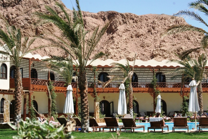 Imagen de los exteriores del Hotel Dahab Paradise. Foto 5