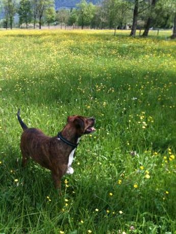 Imagen general del Hotel Dahoam by Sarina - Rooms & Suites. Foto 18