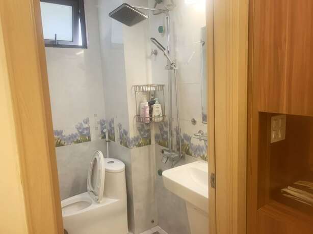 Imagen general del Hotel Dai Thanh Mini. Foto 8