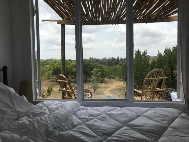 Imagen de la habitación del Hotel Daigas Edge. Foto 8