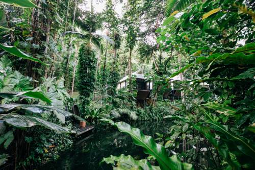 Imagen de la habitación del Hotel Daintree Eco Lodge. Foto 1