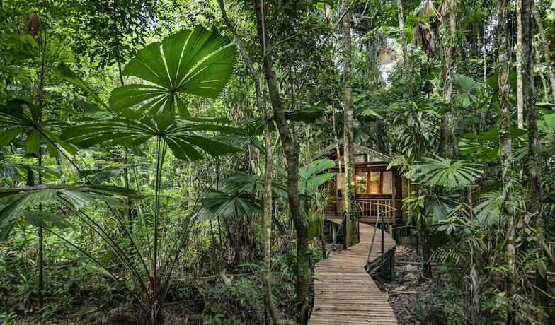Imagen general del Hotel Daintree Wilderness Lodge. Foto 1
