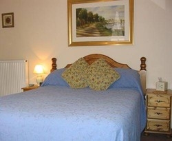 Imagen general del Hotel Dairy Guest House. Foto 3