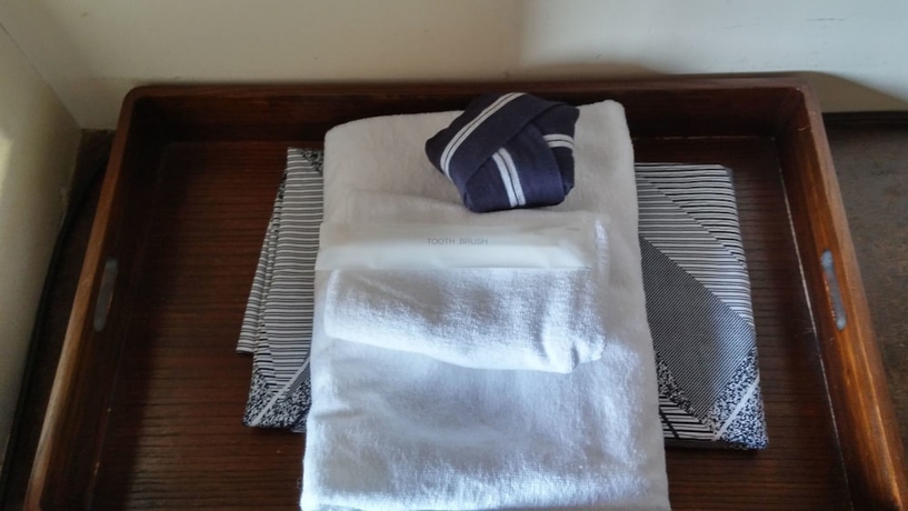 Imagen de la habitación del Hotel Daishin Ryokan. Foto 11