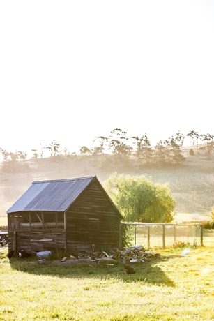 Imagen de los exteriores del Hotel Daisy Bank Cottages. Foto 15