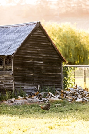 Imagen de los exteriores del Hotel Daisy Bank Cottages. Foto 16