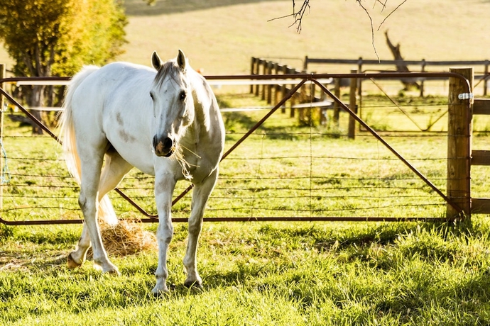 Imagen de los exteriores del Hotel Daisy Bank Cottages. Foto 17