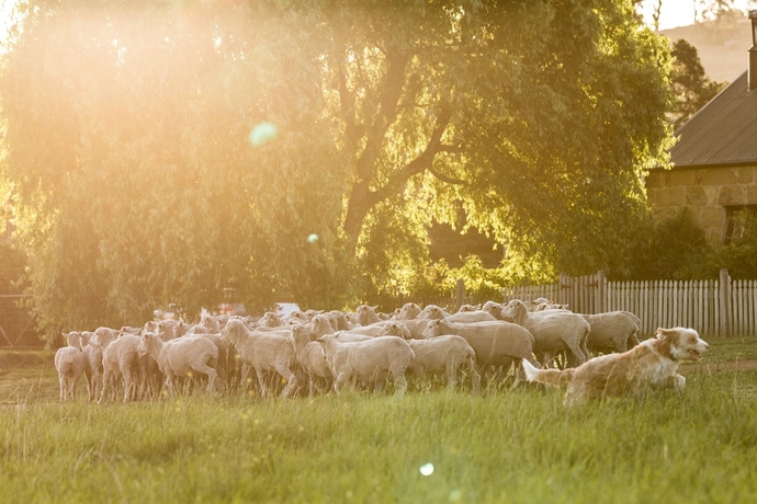 Imagen de los exteriores del Hotel Daisy Bank Cottages. Foto 18