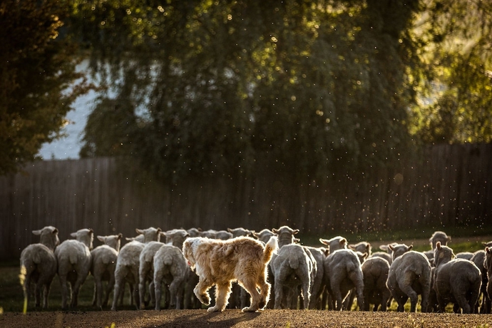 Imagen de los exteriores del Hotel Daisy Bank Cottages. Foto 19