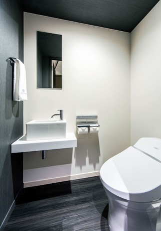 Imagen de la habitación del Hotel Daiwa Roynet Ginza Premier. Foto 3