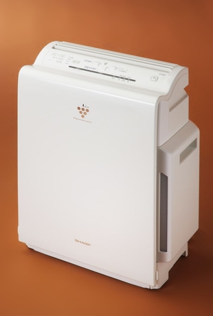 Imagen de la habitación del Hotel Daiwa Roynet Hachinohe. Foto 7