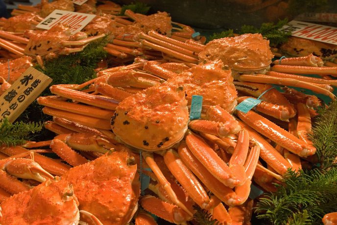 Imagen de la habitación del Hotel Daiwa Roynet Kanazawa Miyabi. Foto 12