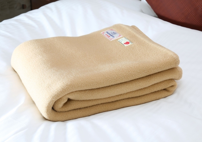 Imagen de la habitación del Hotel Daiwa Roynet Morioka. Foto 13