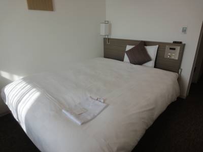 Imagen de la habitación del Hotel Daiwa Roynet Yokohama - Koen. Foto 7