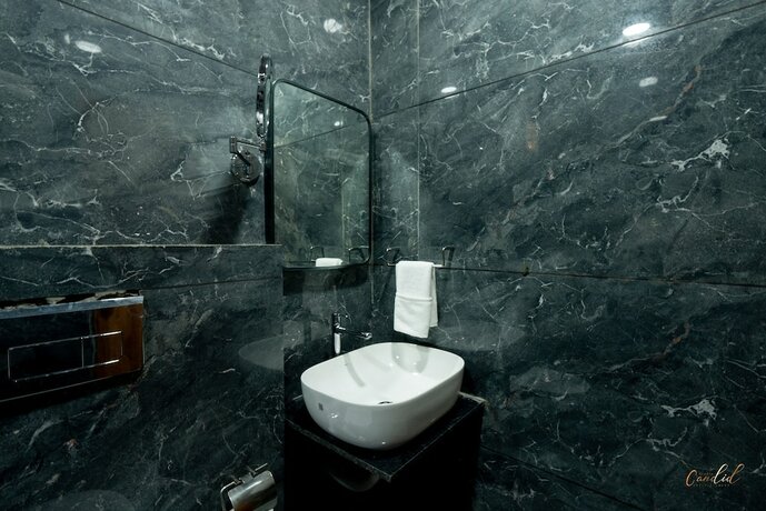 Imagen general del Hotel Daksh Eden Greenz -a Luxury Resort. Foto 7