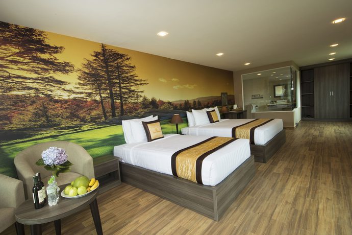 Imagen de la habitación del Hotel Dalat Wonder Resort. Foto 9