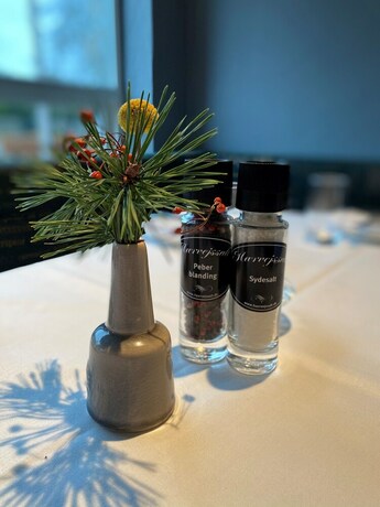 Imagen del bar/restaurante del Hotel Dalgas. Foto 14