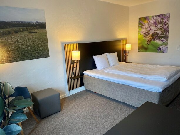 Imagen general del Hotel Dalgas. Foto 4