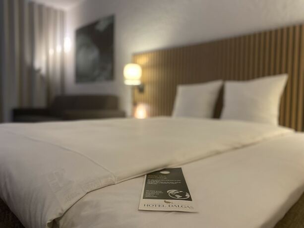 Imagen general del Hotel Dalgas. Foto 12