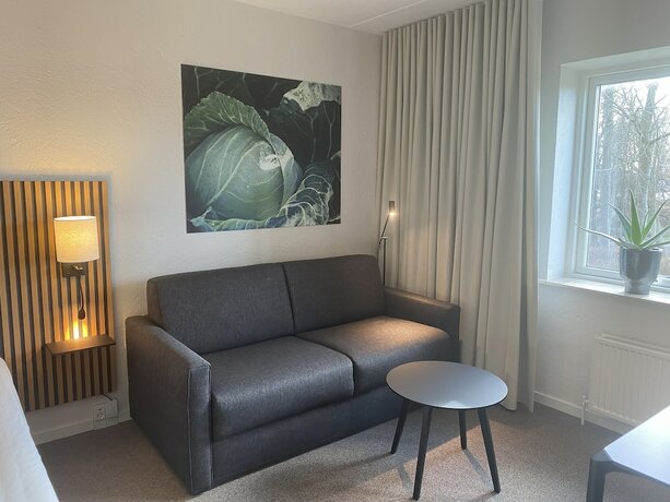 Imagen de la habitación del Hotel Dalgas. Foto 31