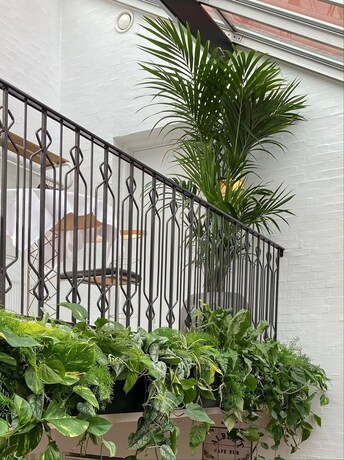 Imagen de los interiores del Hotel Dalgas. Foto 36