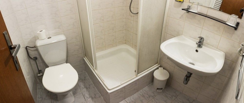 Imagen de la habitación del Hotel Dalimil. Foto 7