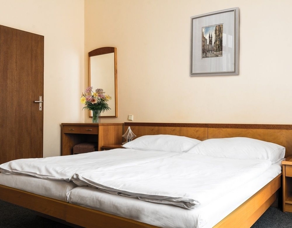 Imagen de la habitación del Hotel Dalimil. Foto 12