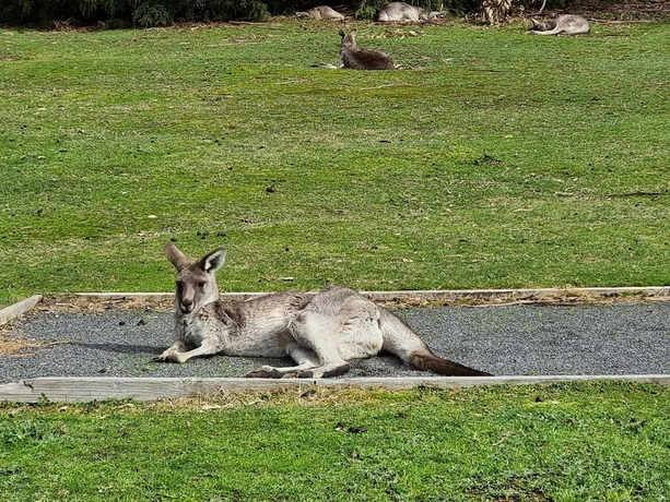 Imagen de los exteriores del Hotel D'altons Studios. Foto 19