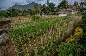 Imagen general del Hotel Daluyon Beach and Mountain Resort. Foto 6