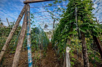 Imagen general del Hotel Daluyon Beach and Mountain Resort. Foto 7