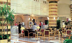 Imagen general del Hotel Dama Rose Hotel. Foto 4