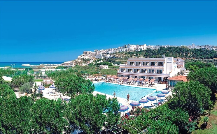 Imagen de la piscina del Hotel D'amato. Foto 18