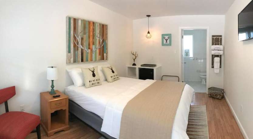 Imagen de la habitación del Hotel Dame Fortune\'s Cottage Court. Foto 3