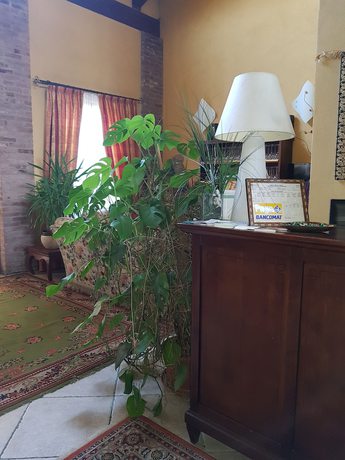 Imagen de los interiores del Hotel Damian. Foto 20