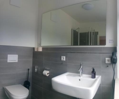 Imagen general del Hotel Damme. Foto 6