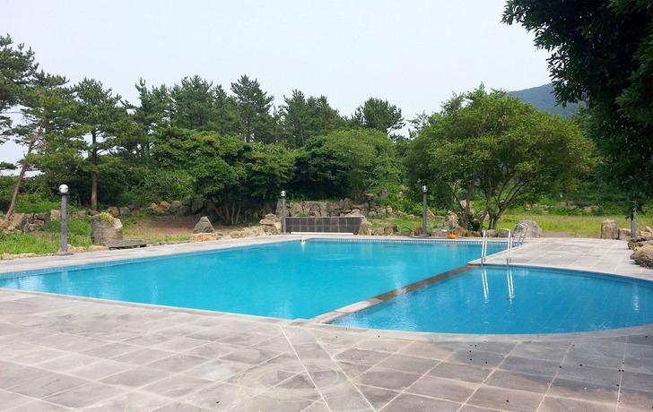 Imagen de la piscina del Hotel Dammora Resort. Foto 14