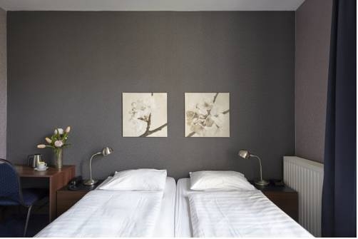 Imagen general del Hotel D'amsterdam. Foto 3