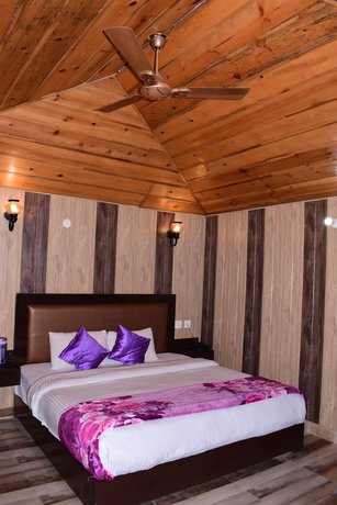 Imagen de la habitación del Hotel Damyanti And Resort. Foto 9