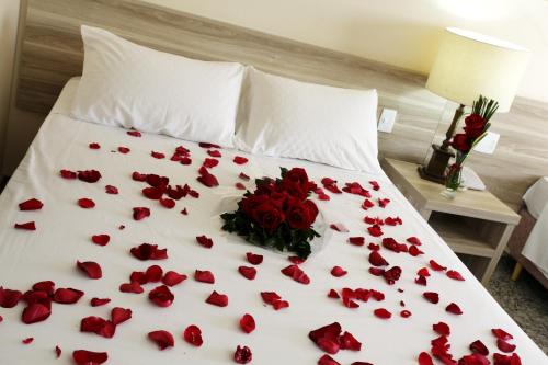 Imagen general del Hotel Dan Inn Campinas Anhanguera. Foto 4