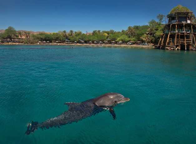 Imagen de los exteriores del Hotel Dan Panorama Eilat. Foto 11